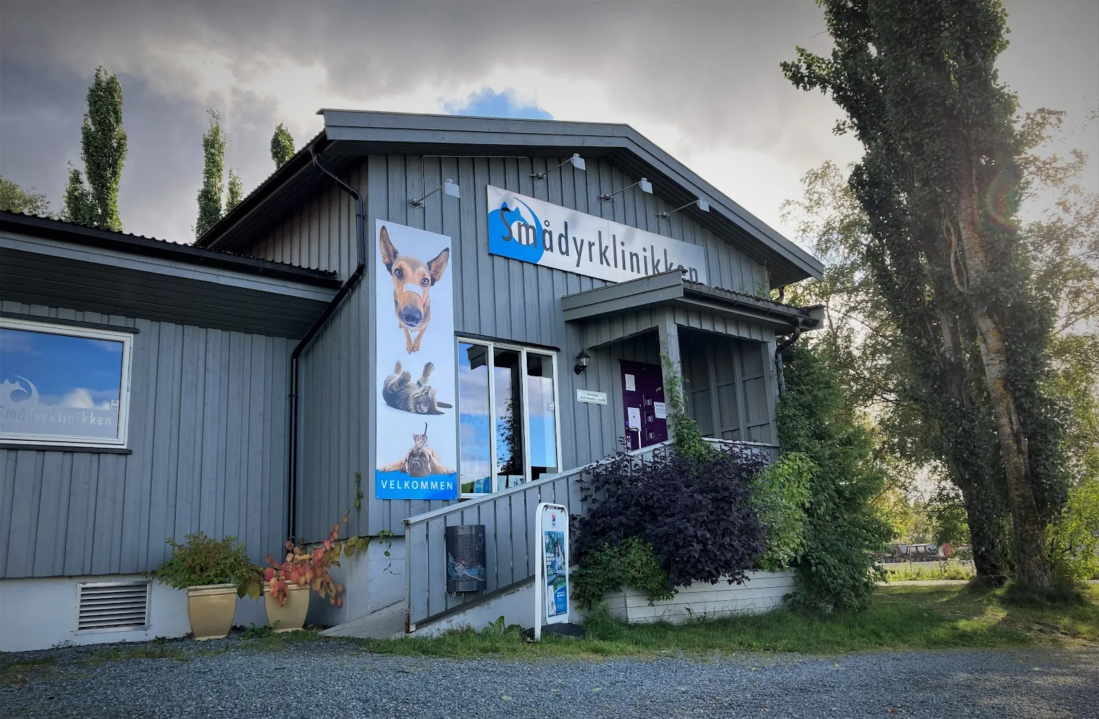 Foto fra