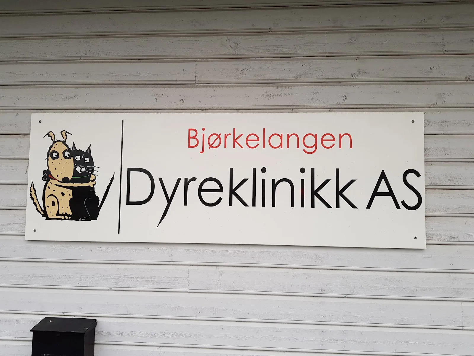 Foto fra