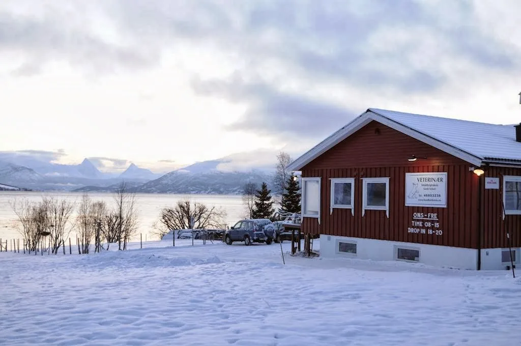 Foto fra Balsfjordveien, 911