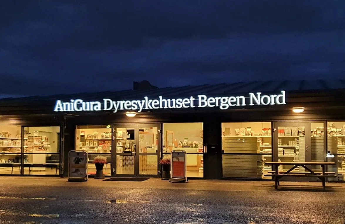 Foto fra Åsamyrane 82